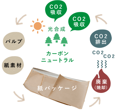 紙パッケージ→廃棄（焼却）→CO2排出→光合成　CO2吸収　カーボンニュートラル→パルプ→紙素材